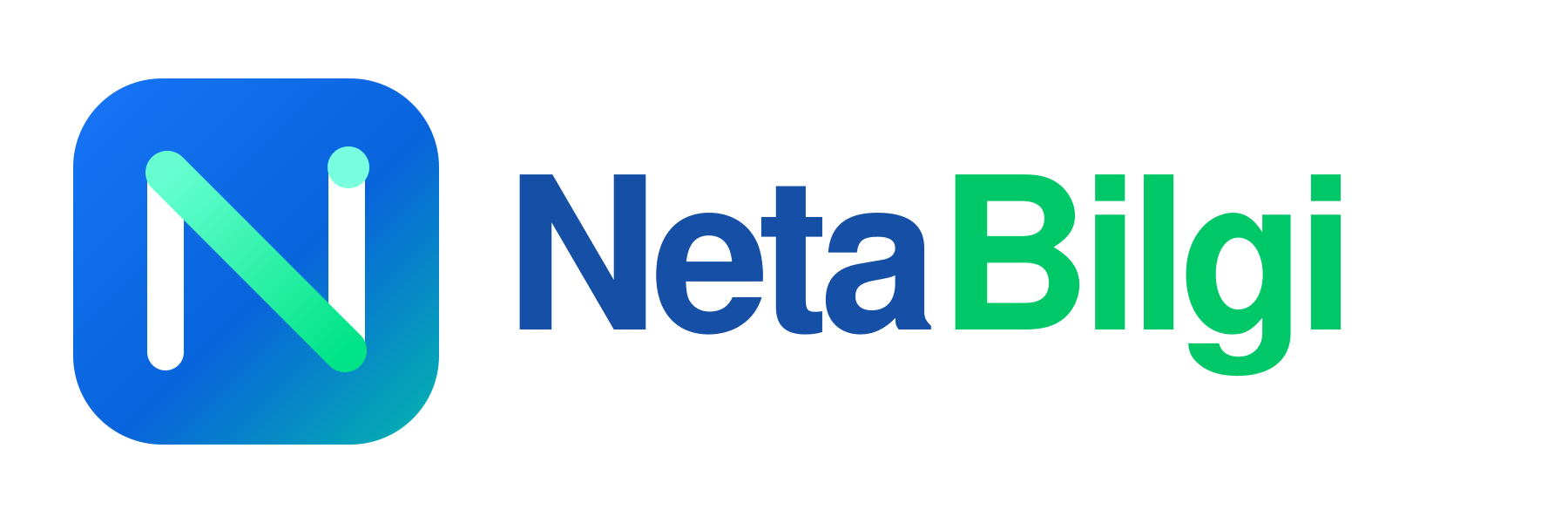 NetaBilgi